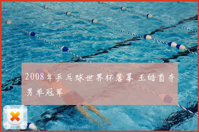 2008年乒乓球世界杯落幕 王皓首夺男单冠军