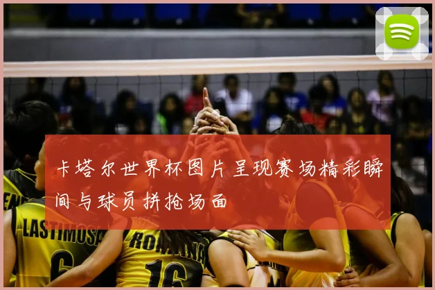 卡塔尔世界杯图片呈现赛场精彩瞬间与球员拼抢场面