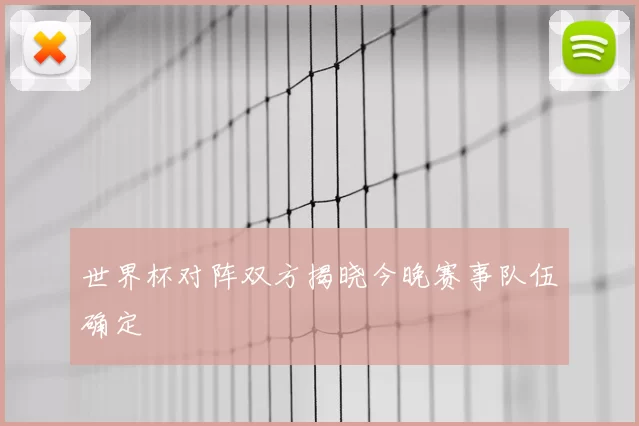 世界杯对阵双方揭晓今晚赛事队伍确定