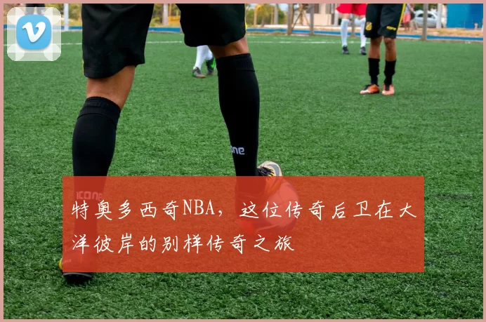 特奥多西奇NBA，这位传奇后卫在大洋彼岸的别样传奇之旅