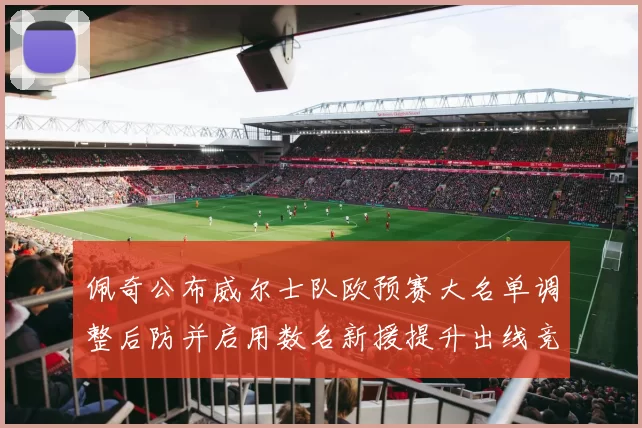 佩奇公布威尔士队欧预赛大名单调整后防并启用数名新援提升出线竞争力